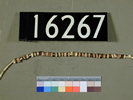UC 16267, faience amulet