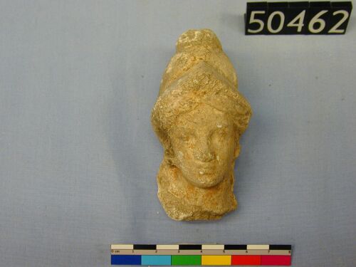 UC 50462, plaster head of Athena