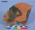 UC 19360, fragment of a black figured vessel from Naucratis